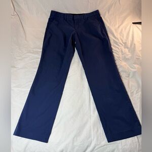 Express Men's Navy Blue Casual Pants
